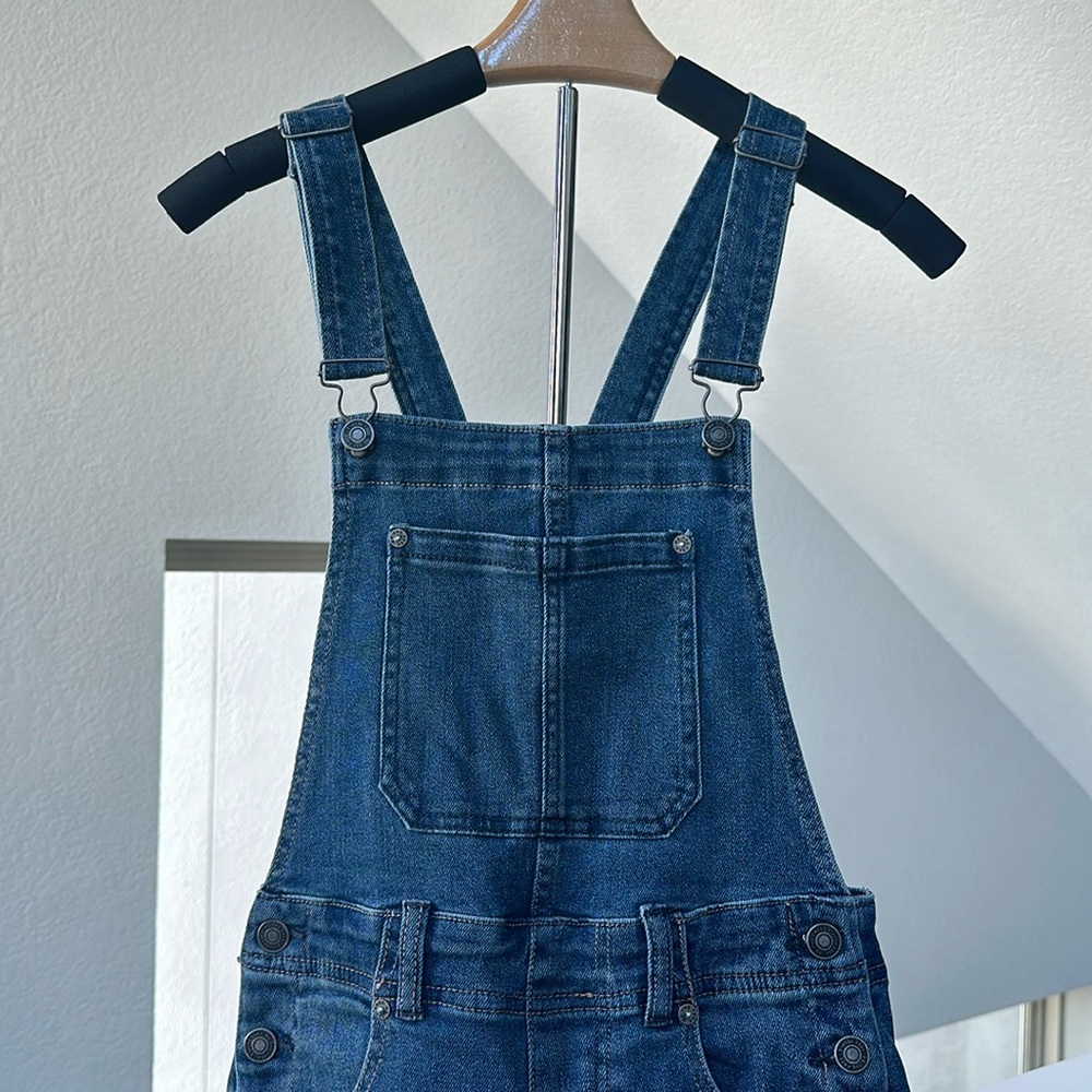 Free People Overalls